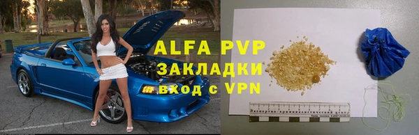 трава Няндома