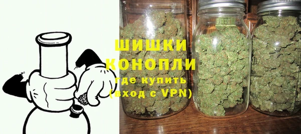 трава Няндома
