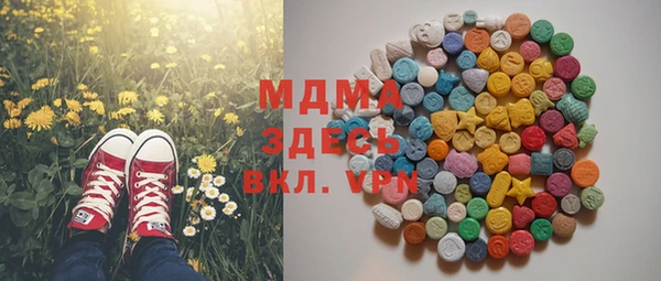 трава Няндома
